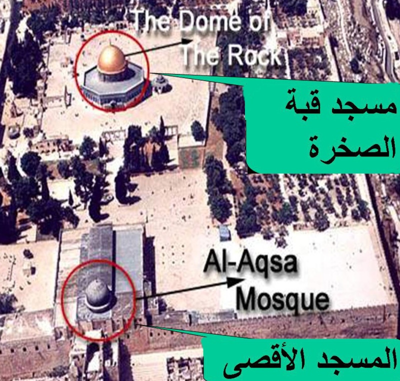 الفرق بين المسجد الأقصى ومسجد قبة الصخرة 15004210