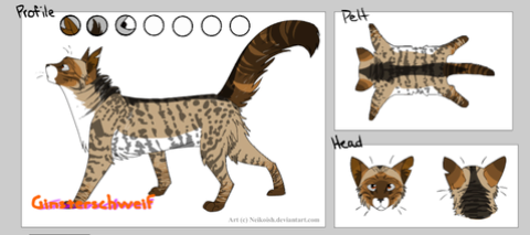 Eure Ersten Warriorcats