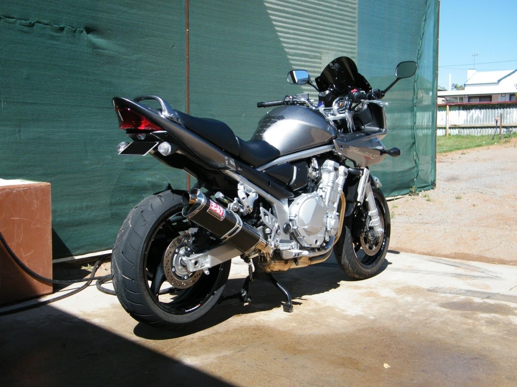 street 500 custom rear fender