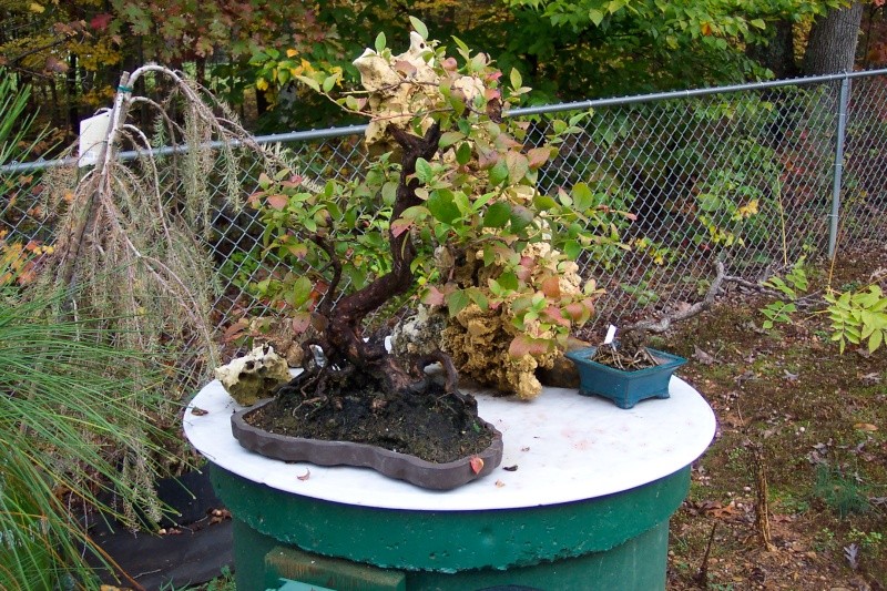 Some Fall color from my benches... 2012-114