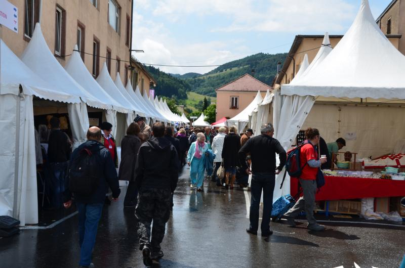 Sainte-Marie-aux-Mines 2013 : 50e anniversaire de la bourse minéralogique 2a10