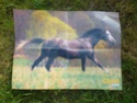 Posters de chevaux de toutes races  2810