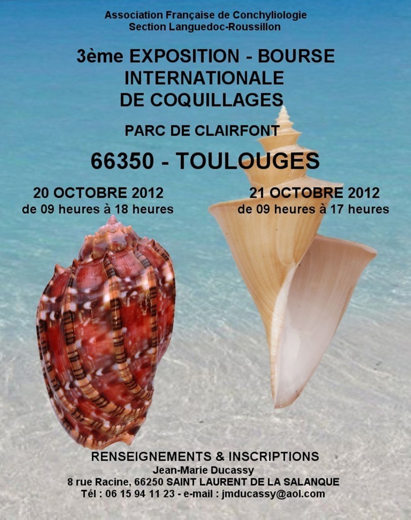 2012 Bourse Toulouges / Perpignan - 20 & 21 octobre Toulou10