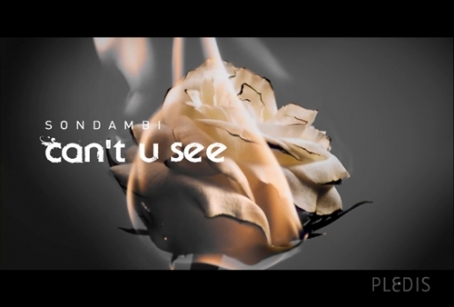 Son DamBi revela teaser vídeo a "Can't You See" el 1 de julio  20100714