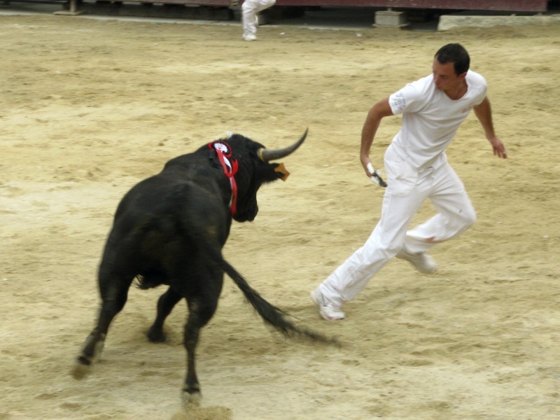 course de tau aubais 2010 Img_8312