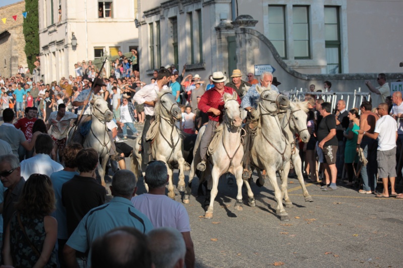 aubais le 12.08.12 18h30 : Bandido - Manade Aubanel Img_8910