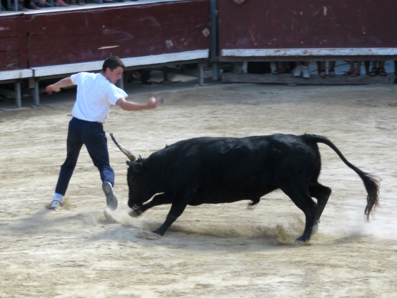 course de tau aubais 2010 Img_9210