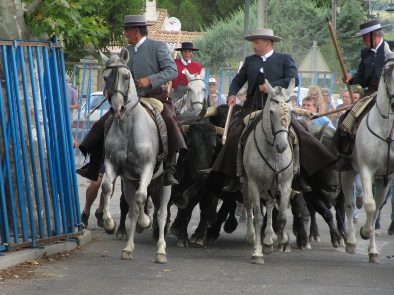 langlade en fete 2010 Img_9713