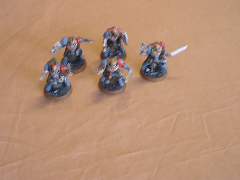 Mes Marines, les Grey Howlers Scout10