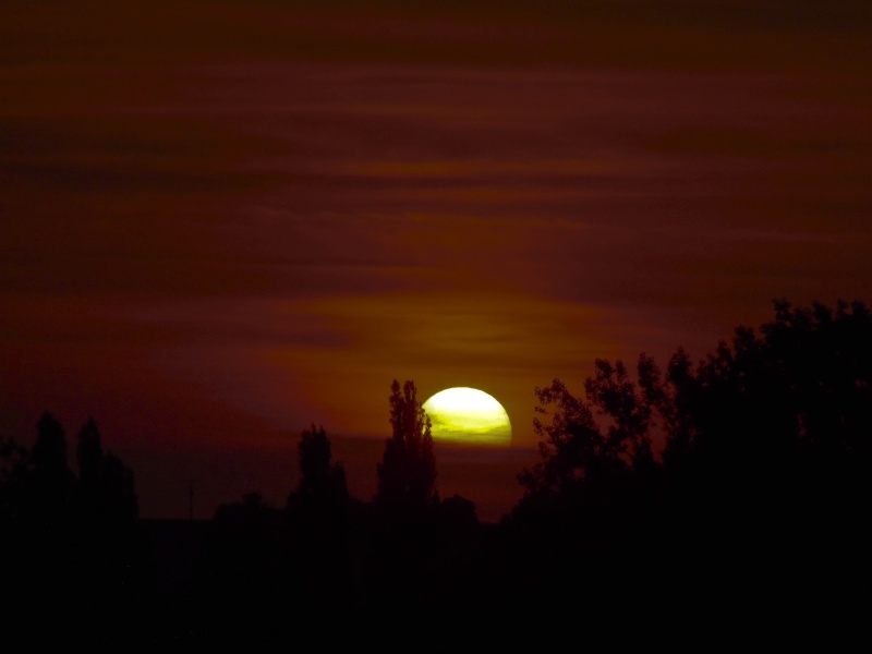 Couché de soleil en Poitou Charente P1000523