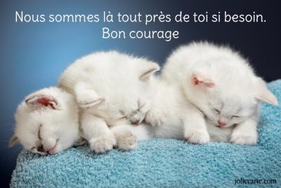 Pour Maria  - Page 2 Courag10