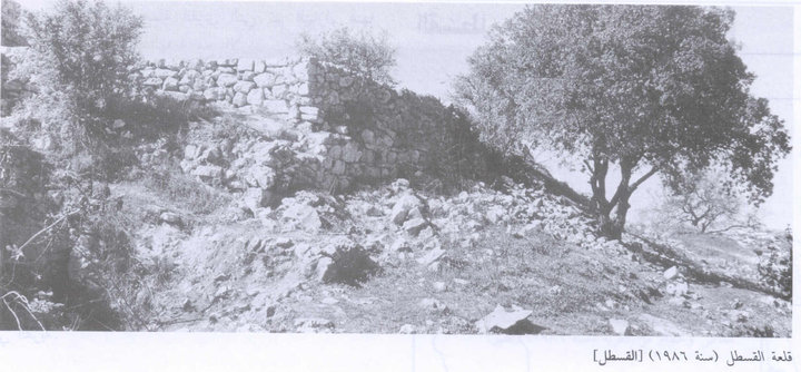 القسطل ..أول قرية عربية احتلها الصهاينة سنة 1948 115
