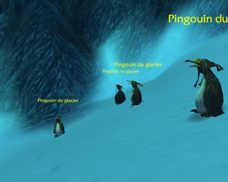 Pingouins :D Wow-2012