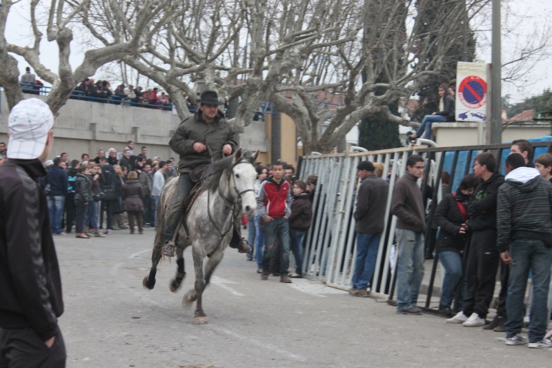 caissargues 16 janvier Codo_j13