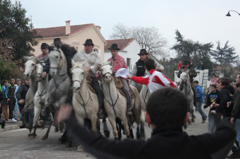 caissargues 16 janvier Codo_j20