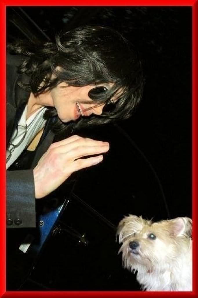 Collection MJ-Story : Michael et les animaux ^^ - Page 8 Michae15