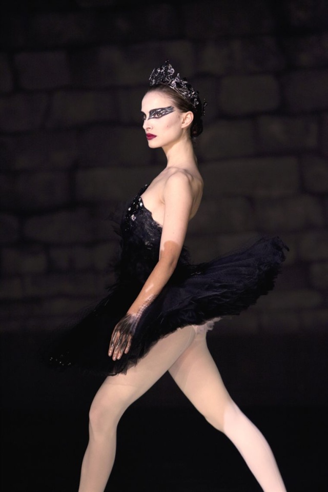 Black Swan 19495212