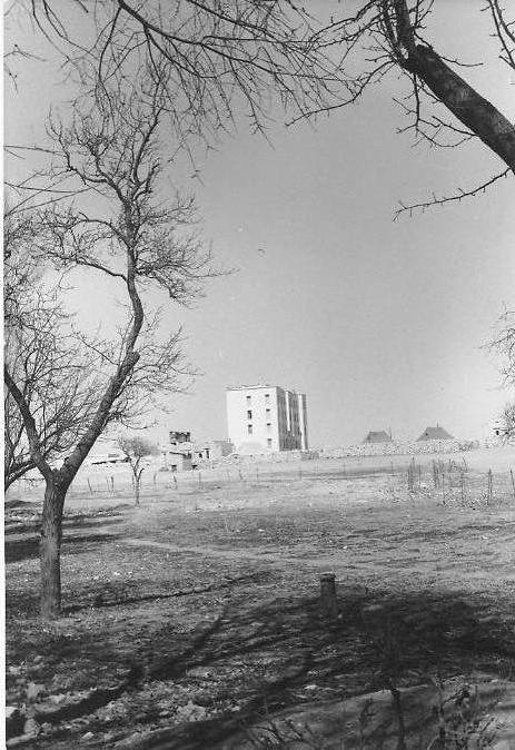  صور لمدينة الشريعة ولاية تبسة سنة 1957  Lagend10