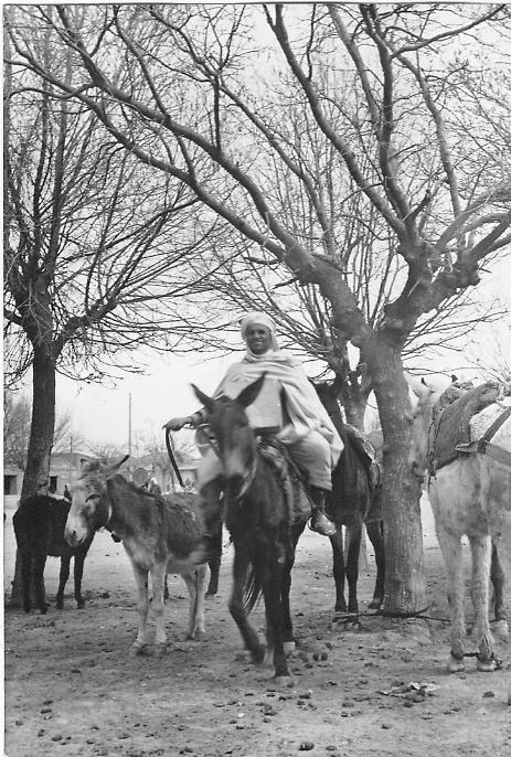  صور لمدينة الشريعة ولاية تبسة سنة 1957  Laplac11