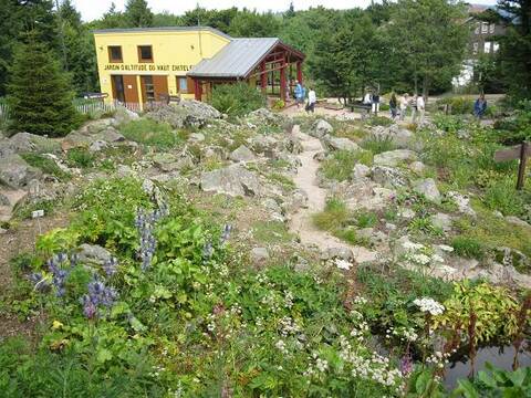 Jardin D Altitude Du Haut Chitelet Vosges