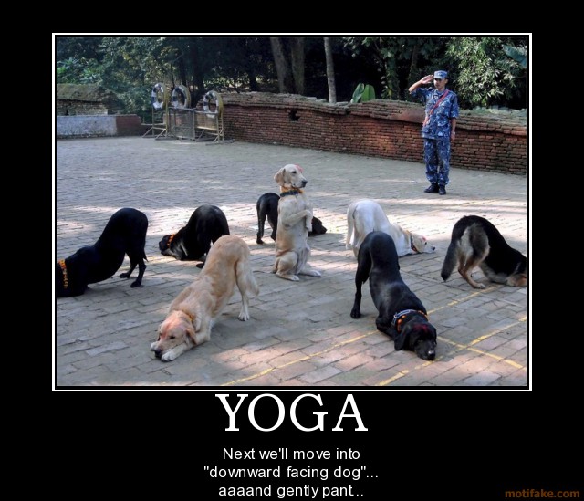 Merkwürdigkeiten - Seite 4 Yoga-y10