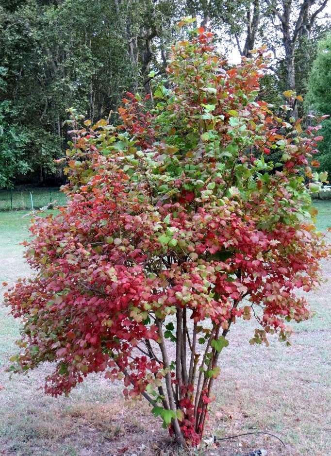 Déjà un petit air d'automne ... Septem12