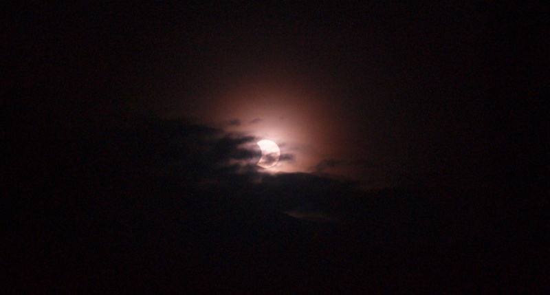 Eclipse solaire P1046211