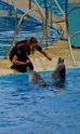 [CR] Marineland France Dsc_0121