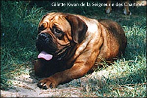 GILETTE KWAN  de la Seigneurie des Chartrons Ddb_gi10