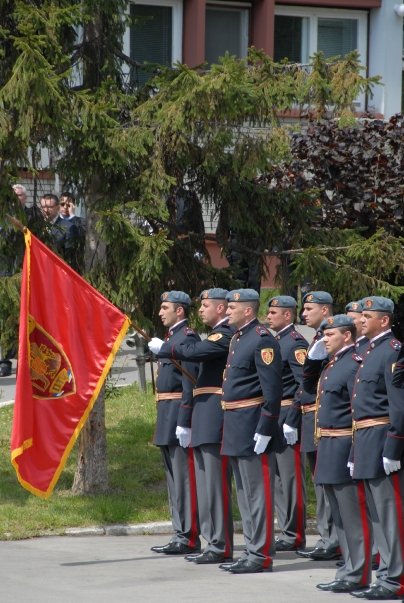 Serbia special police units insignias (SAJ, Gendarmerie, PTJ) Ptj-sv10