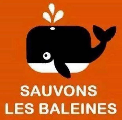 Sauvons les baleines  Balein10