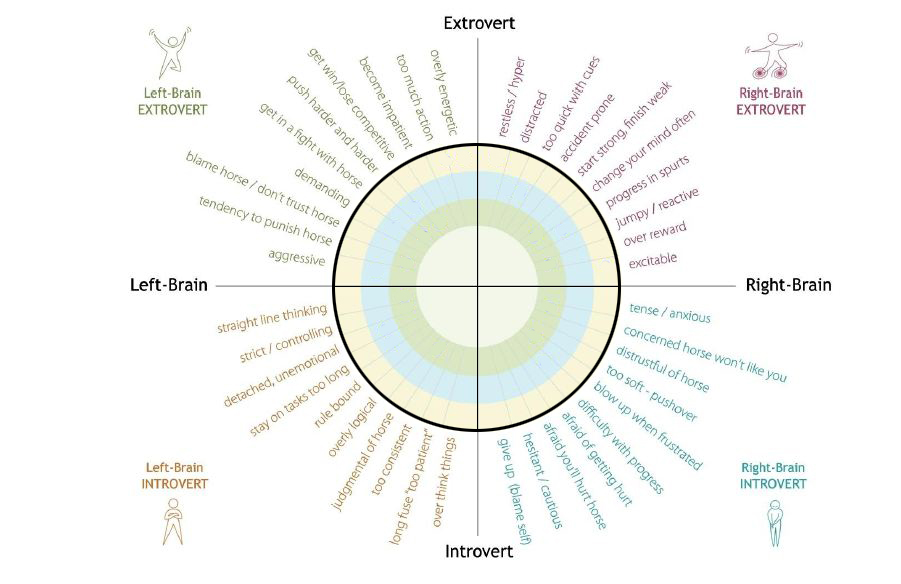 L'horsenality ou l'étude de la personnalité selon Parelli - Page 2 Humana10