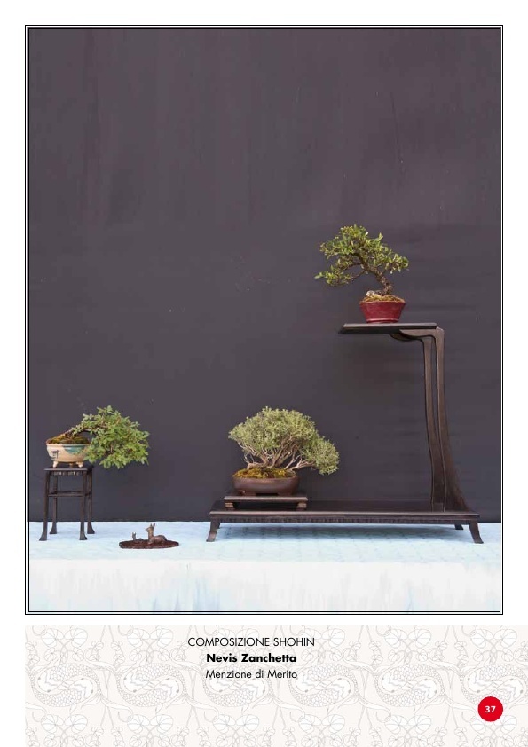 TROFEO BONSAI & SUISEKI CITTA' DI POPPI 3710