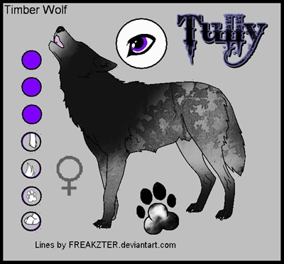 Greywind&Tully Tully_10