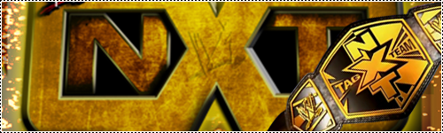 NXT Championships. Nxt_ta10