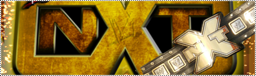 NXT Championships. Nxt_wo10