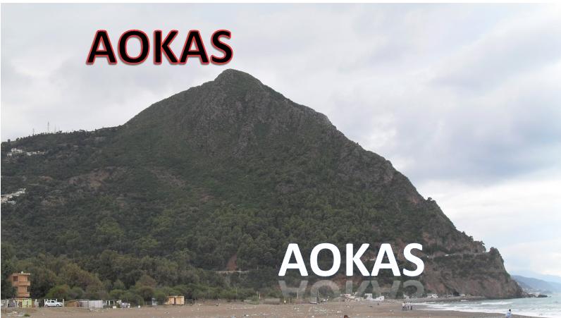 AOKAS : Rassemblement de soutien à celui de Tizi-Ouzou 136