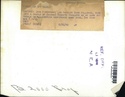 Los Angeles Dons, 1948 AAFC 59531411