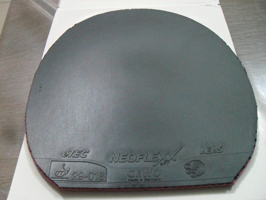 gewo neoflexx FT48 noir 2,1 Sdc13336
