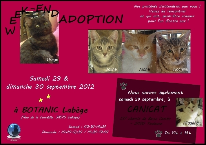 WE Adoption samedi 29 & 30 septembre à BOTANIC Labège Expo_211