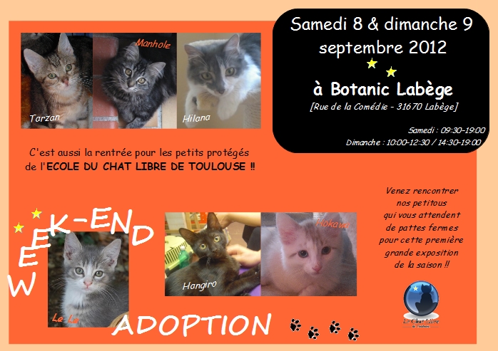 WE Adoptions le 8 et 9 septembre - Botanic LABEGE We_exp10