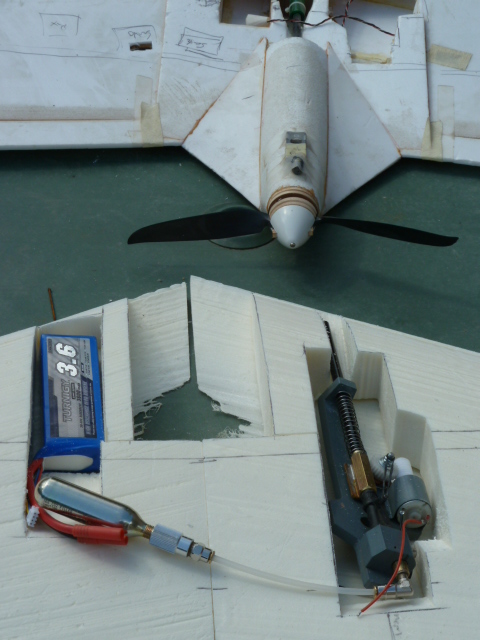 Construction avion de chasse : Une aile volante sans dérive P1010125