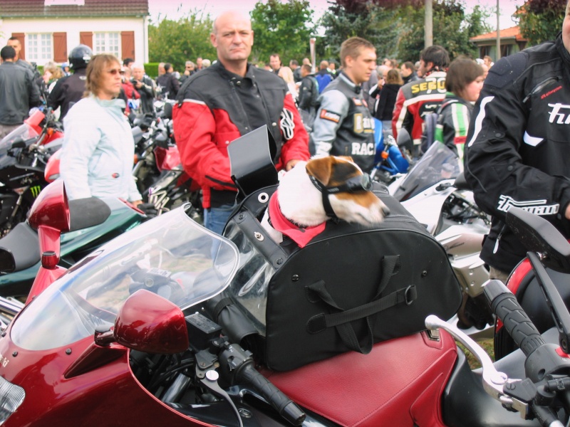 Motocoeur 2012, les motards Montmorillonnais y étaient Img_1619