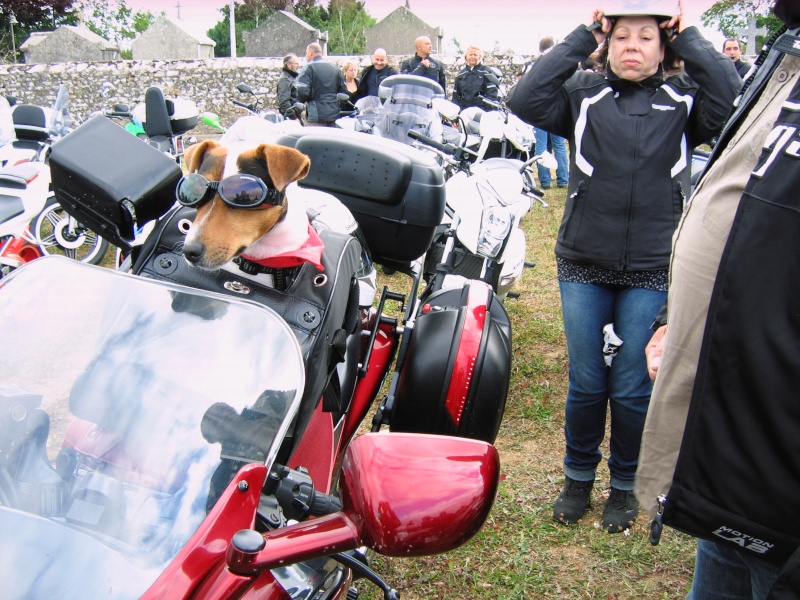 Motocoeur 2012, les motards Montmorillonnais y étaient Img_1620