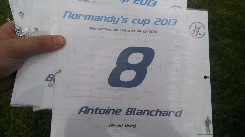 Normandy's cup - Page 8 Wp_20114