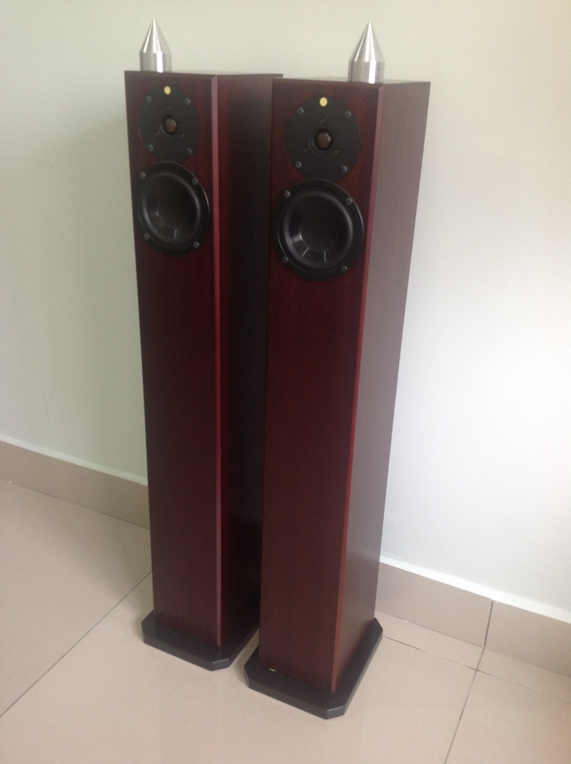 Totem Arro Speakers (Used) SOLD Img_0110