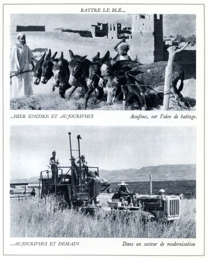 L'Oeuvre de la France au Maroc de 1912 à 1950. - Page 4 Maroc309