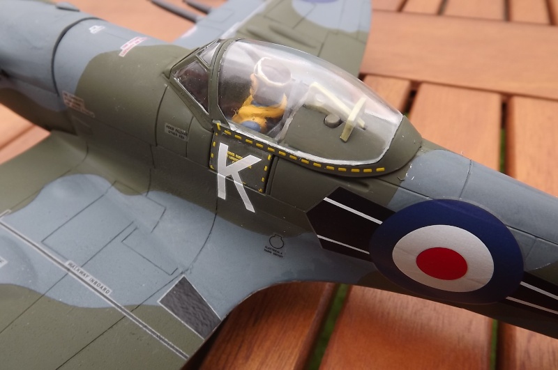 Spitfire MK22/24  - Page 7 Dscf2921