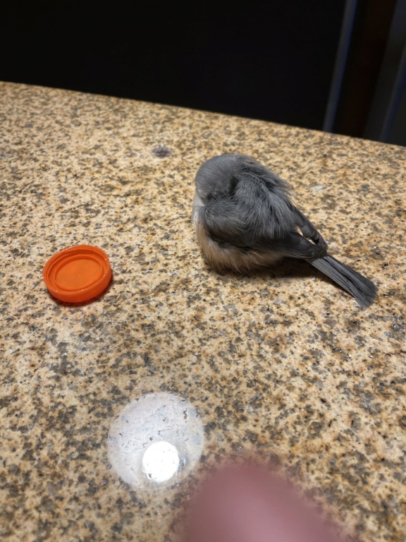 My overnight guest 3a66c410