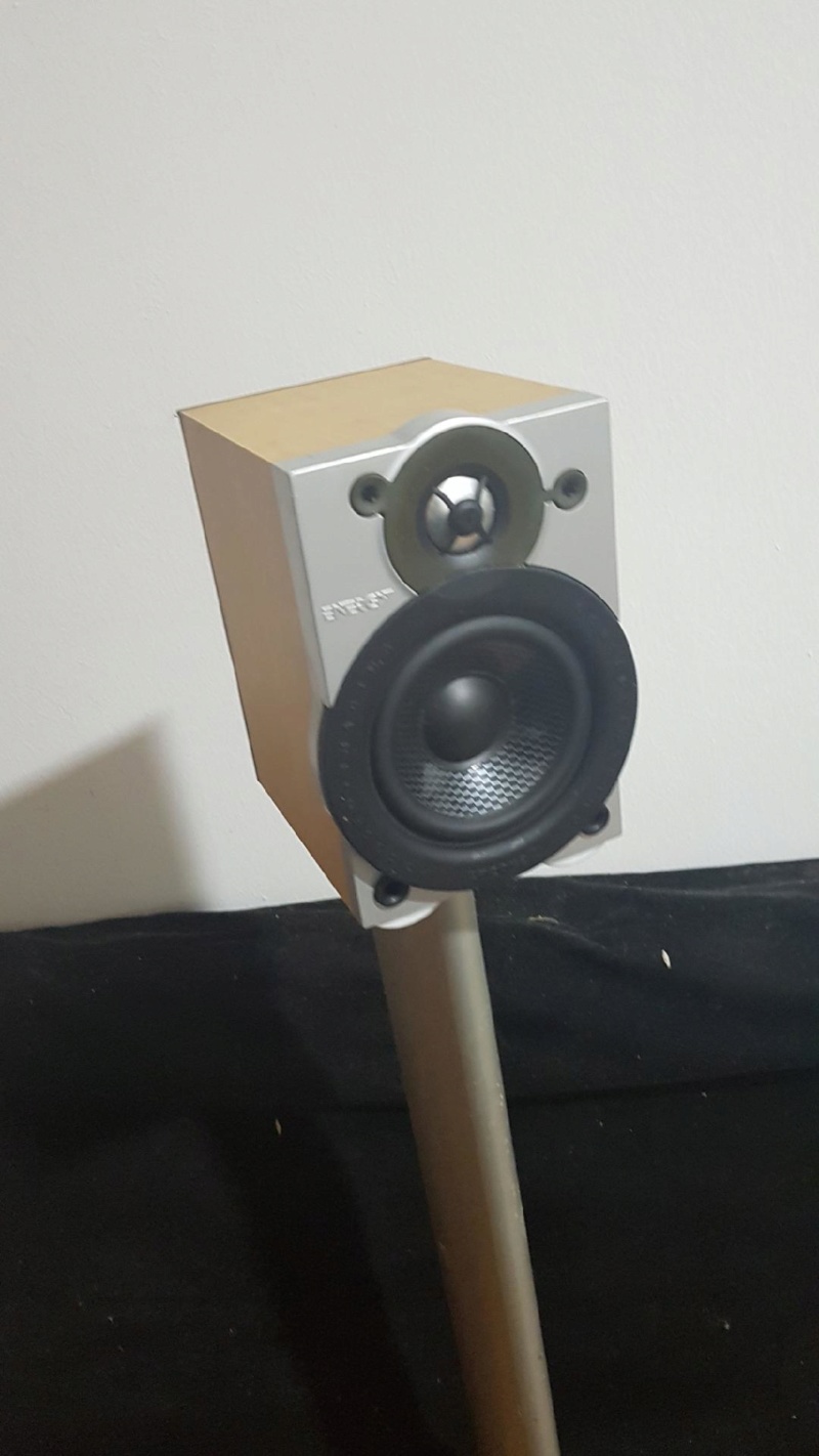 surround speaker with stand (used) Encore11